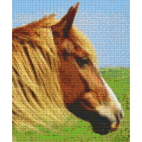 Kôň 806154